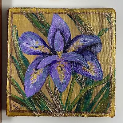 6x6 Painted Iris