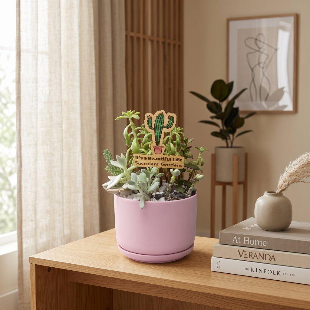 It's a Beautiful Life Succulent Arrangement