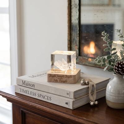 Mr. Bingle Crystal LED Light Cube
